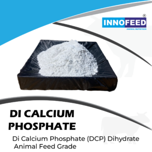 DI CALCIUM PHOSPHATE