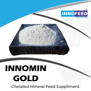 INNOMIN GOLD