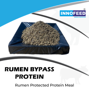 RUMEN BYPASS PROTEIN