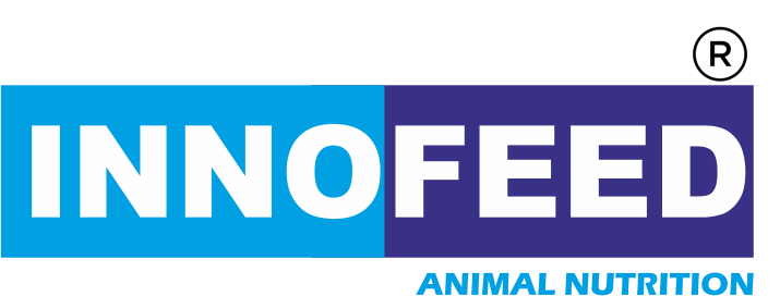 Innofeed